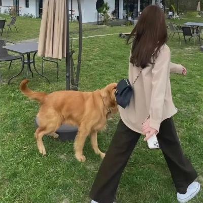 恐怖怪物